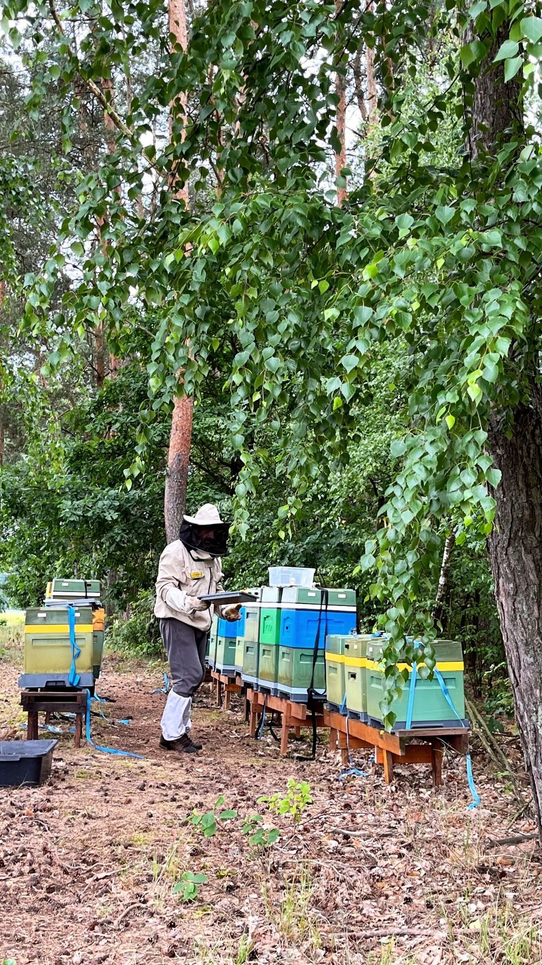 Malowy Sad - kontakt