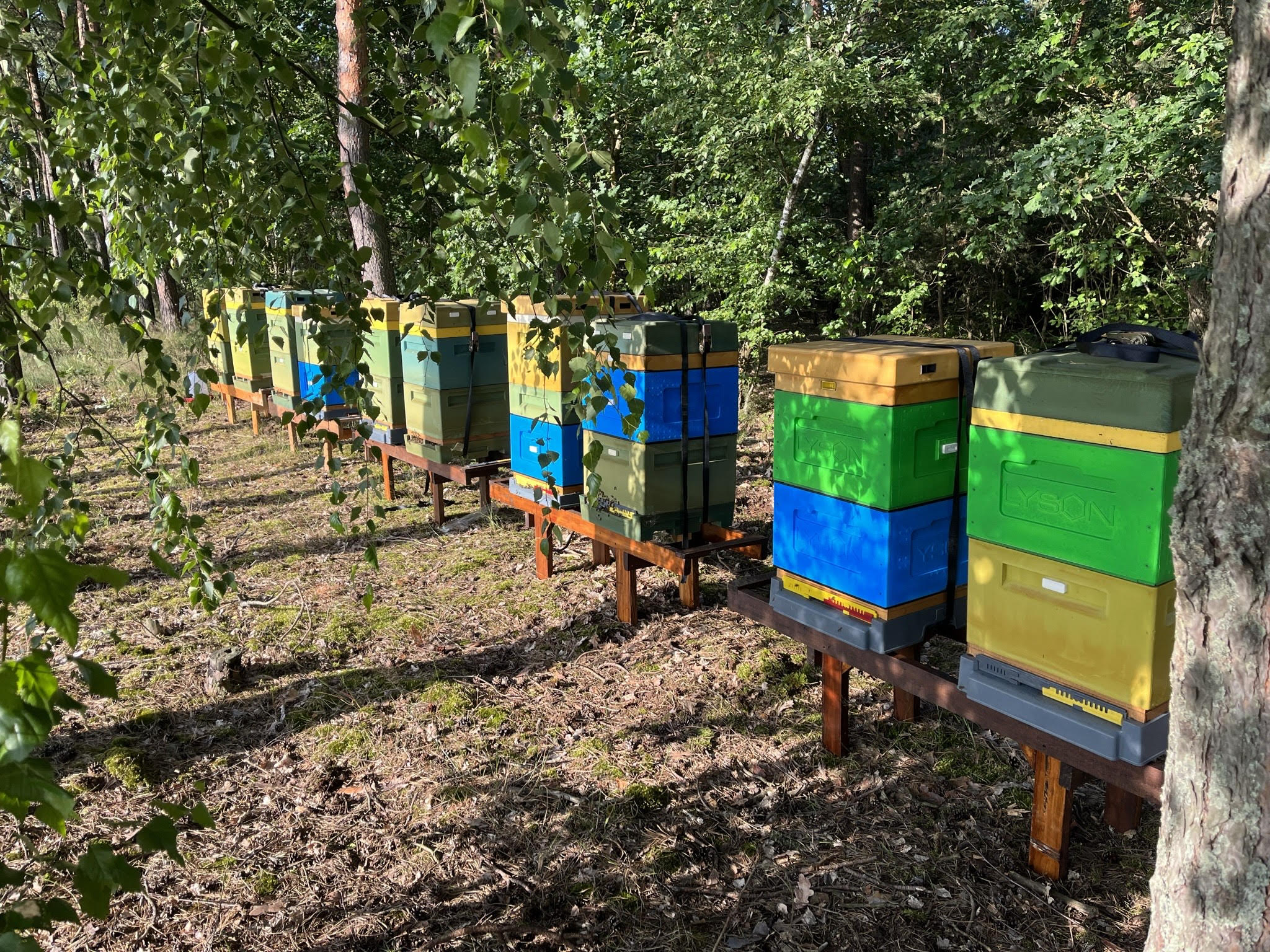 Malowy Sad - agroturystyka